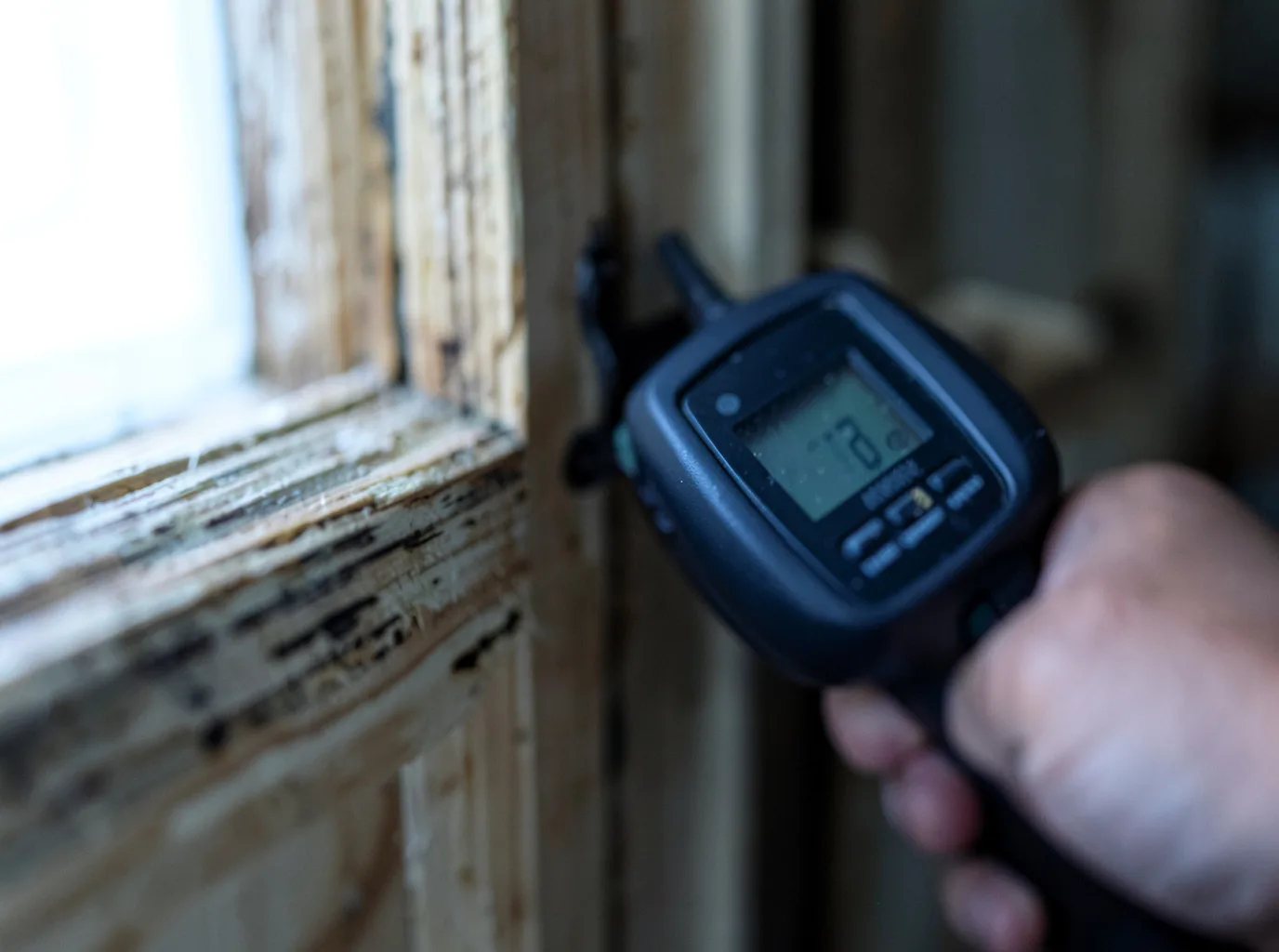 Commercial Water Damage Restoration in Lake Alfred, FL